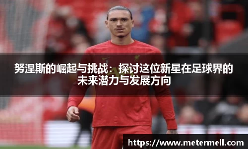 努涅斯的崛起与挑战：探讨这位新星在足球界的未来潜力与发展方向